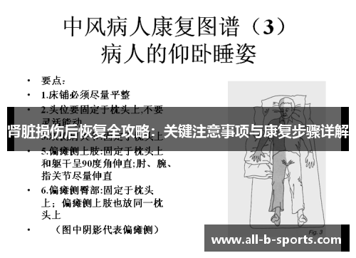 肾脏损伤后恢复全攻略：关键注意事项与康复步骤详解