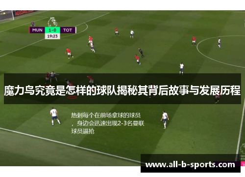 魔力鸟究竟是怎样的球队揭秘其背后故事与发展历程