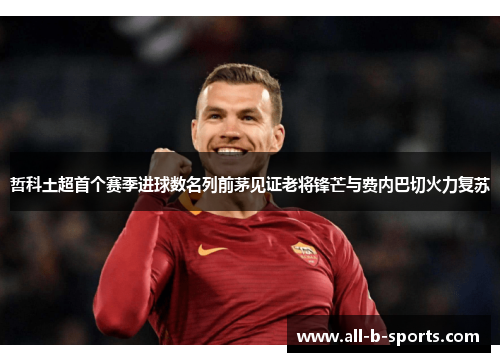 哲科土超首个赛季进球数名列前茅见证老将锋芒与费内巴切火力复苏 哲科土超首个赛季进球数名列前茅见证老将锋芒与费内巴切火力复苏
